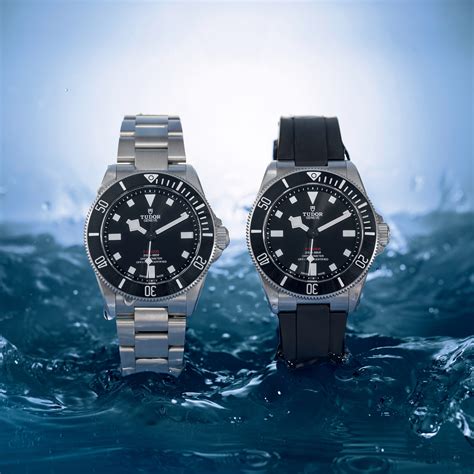 tudor pelagos models